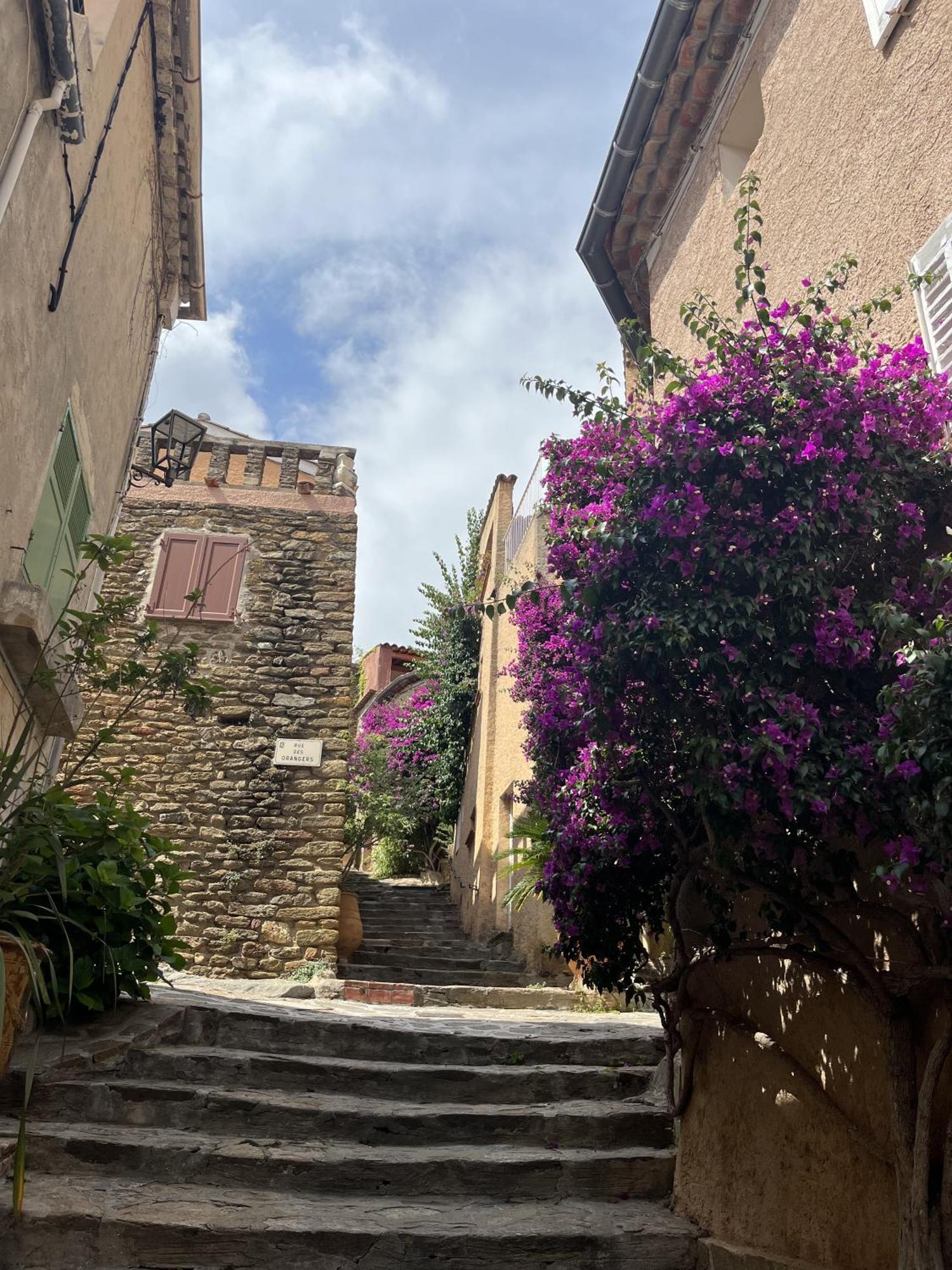 Villa La Recampado à Bormes-les-Mimosas Extérieur photo