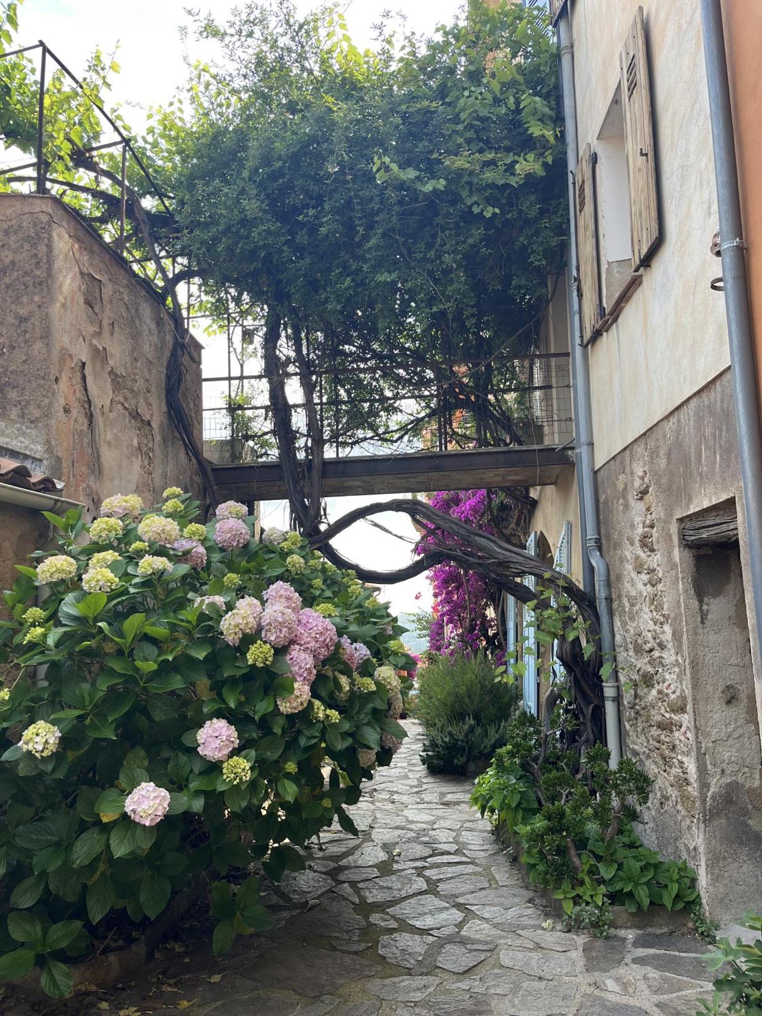 Villa La Recampado à Bormes-les-Mimosas Extérieur photo
