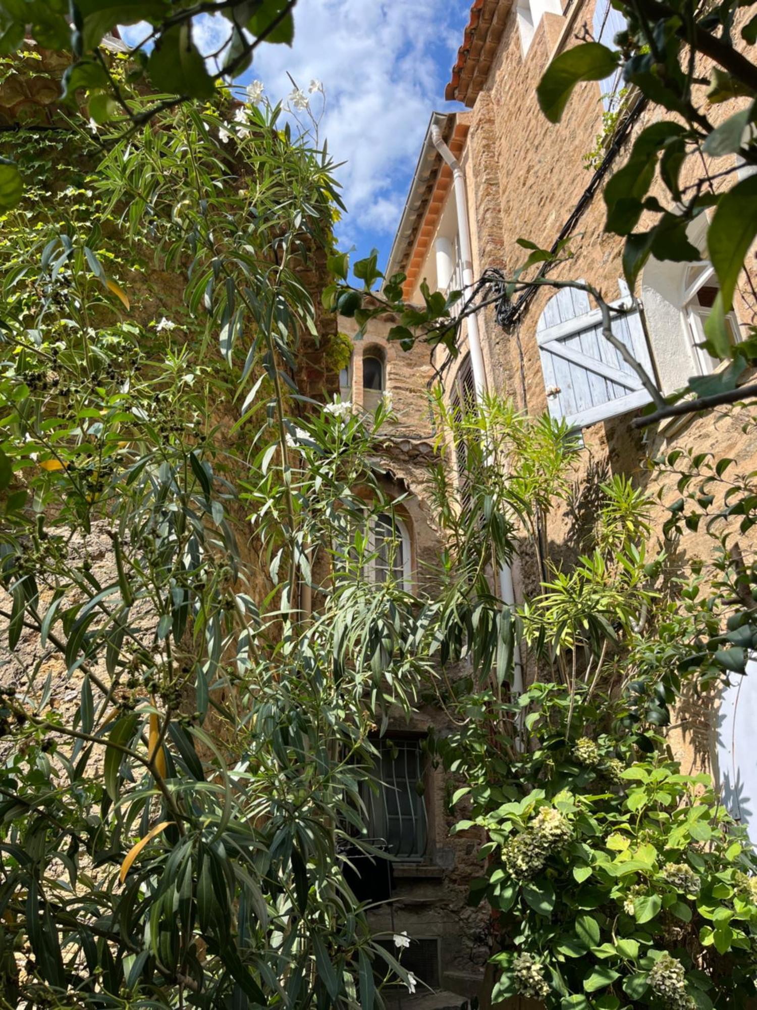 Villa La Recampado à Bormes-les-Mimosas Extérieur photo